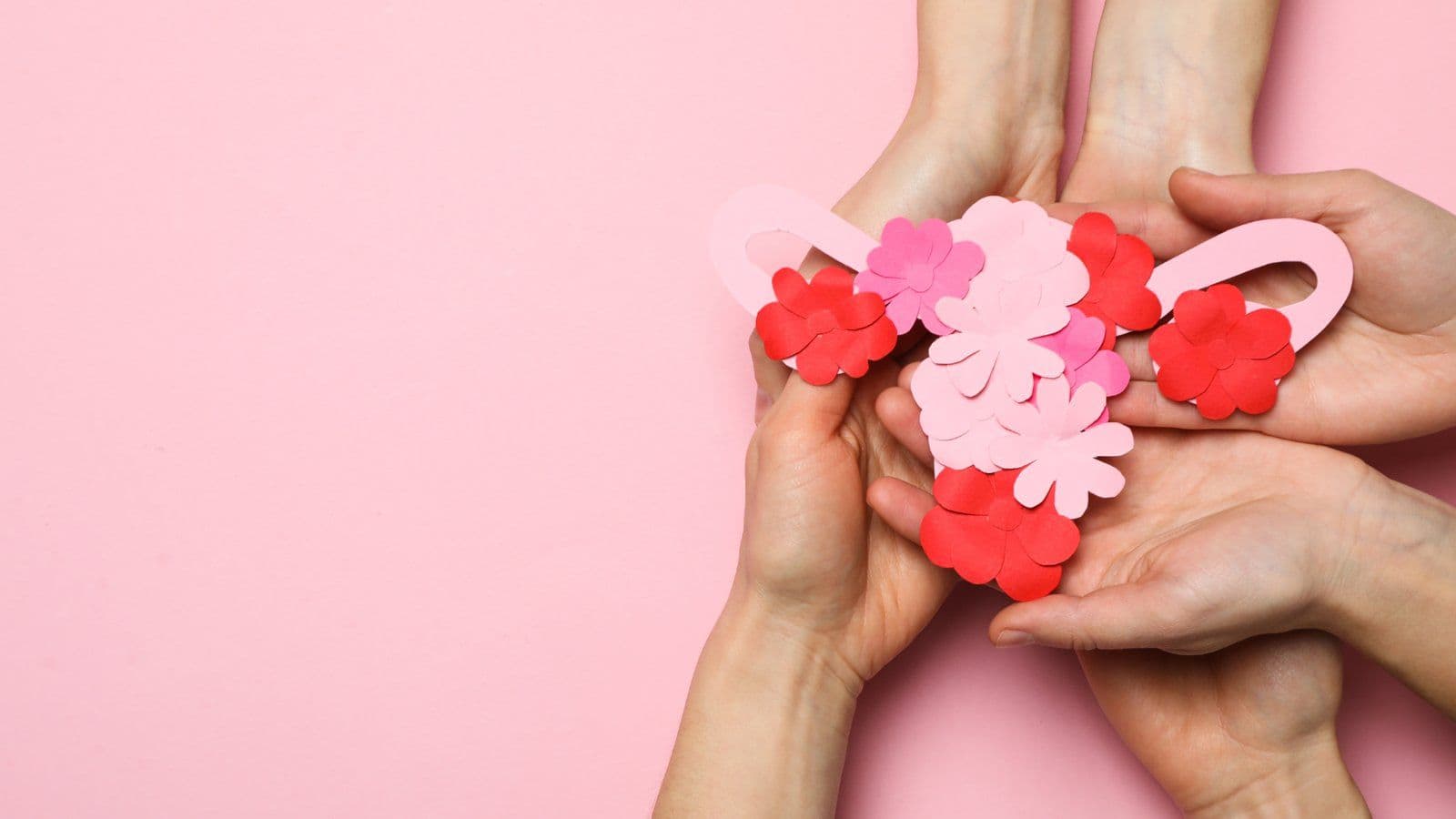 Mains tenant un uterus en papier decore de fleurs sur fond rose