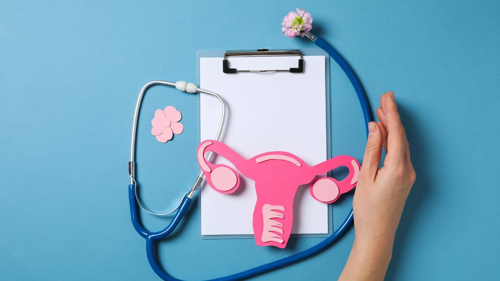 Uterus en plastique rose, stethoscope et porte-bloc sur fond bleu
