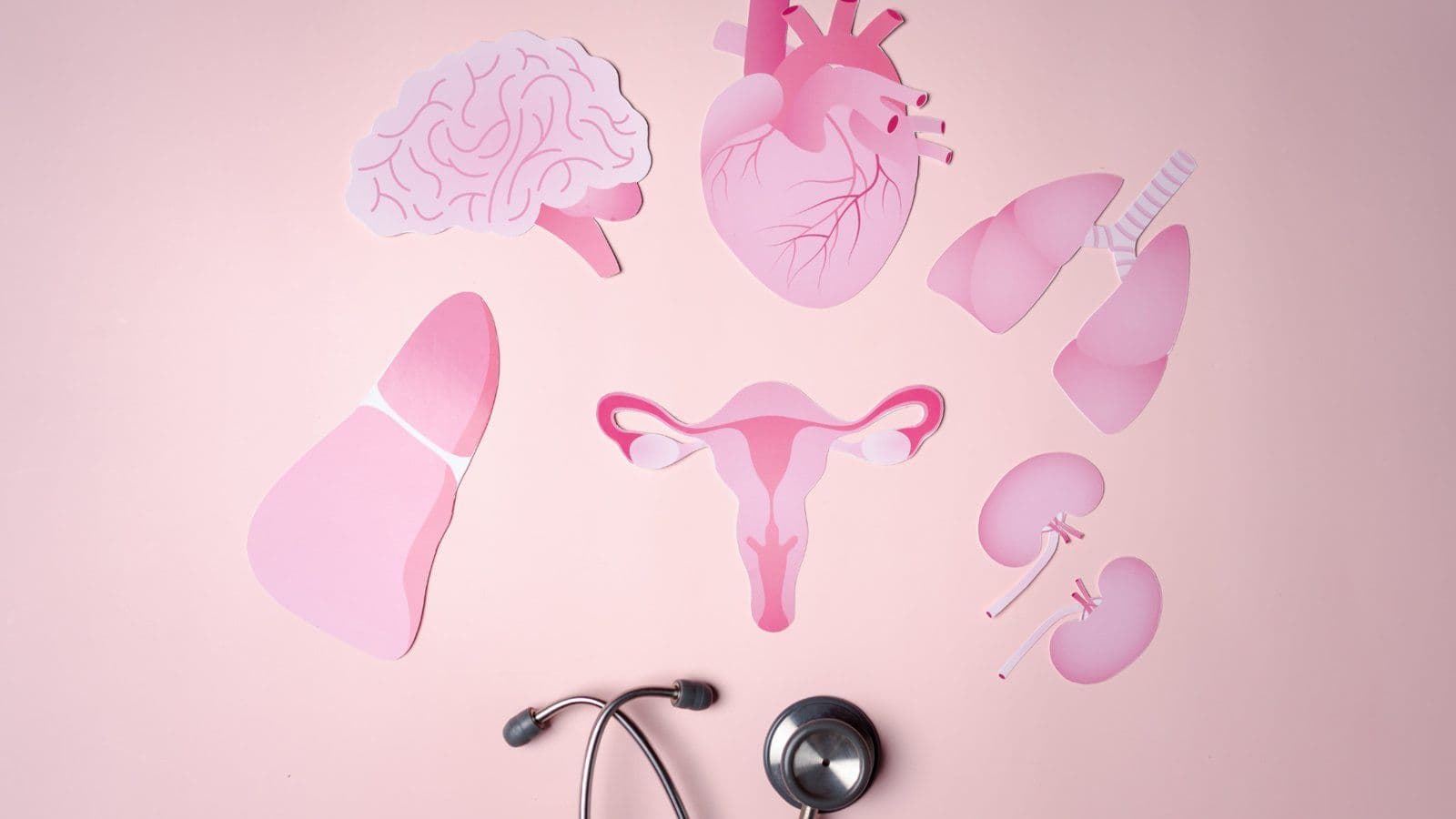 Organes en papier rose disposes autour d un uterus et d un stethoscope