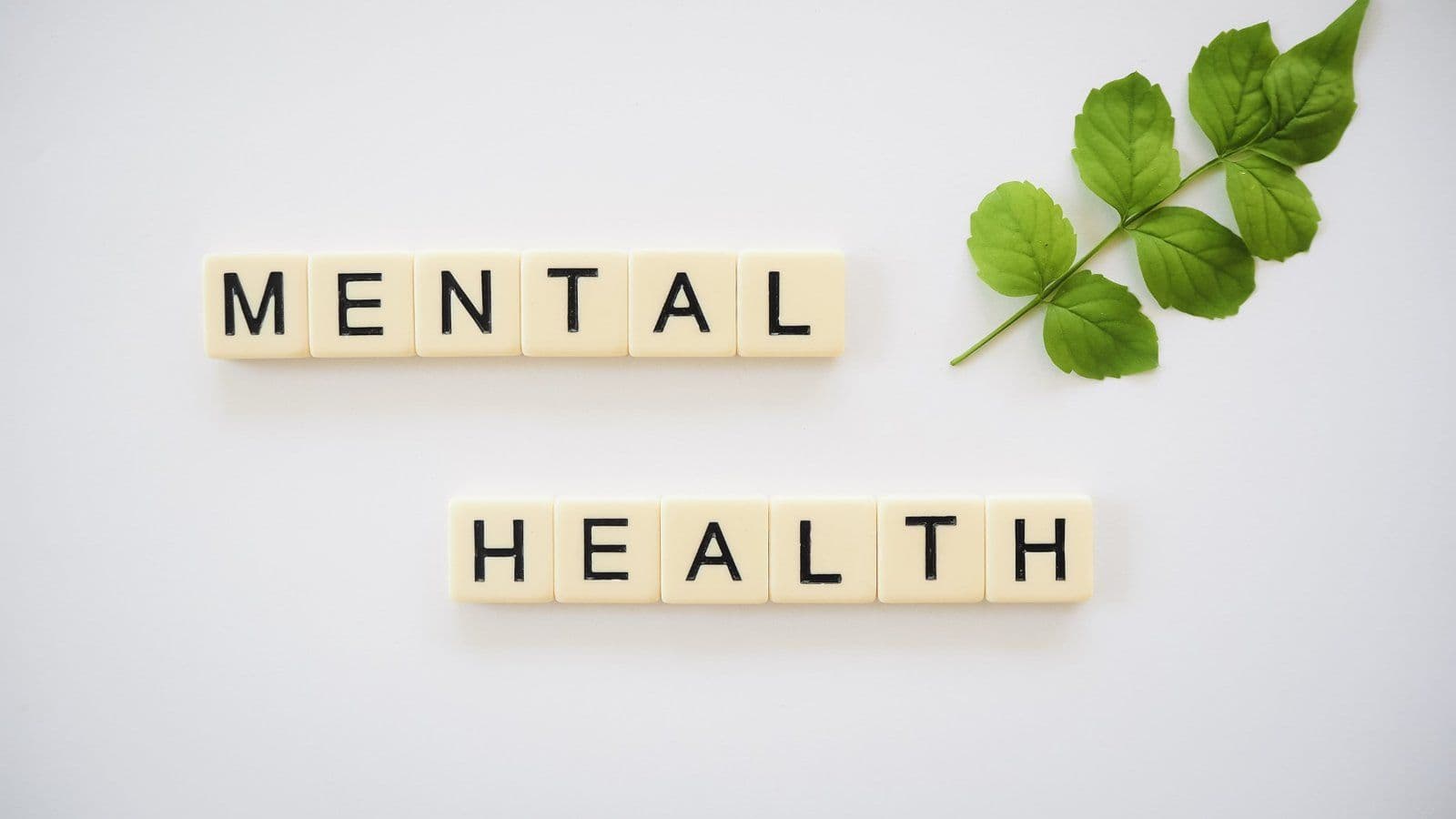 Lettres en bois formant les mots mental health a cote d une feuille verte