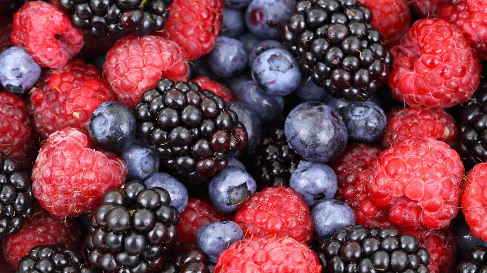 Gros plan de framboises, myrtilles et mures melangees