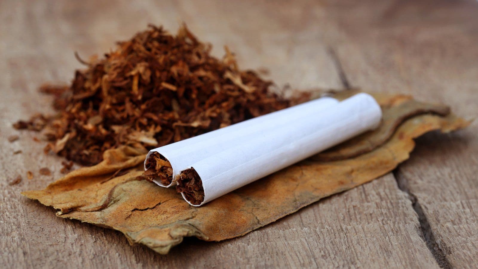 Cigarette posee sur une feuille de tabac a cote de tabac en vrac
