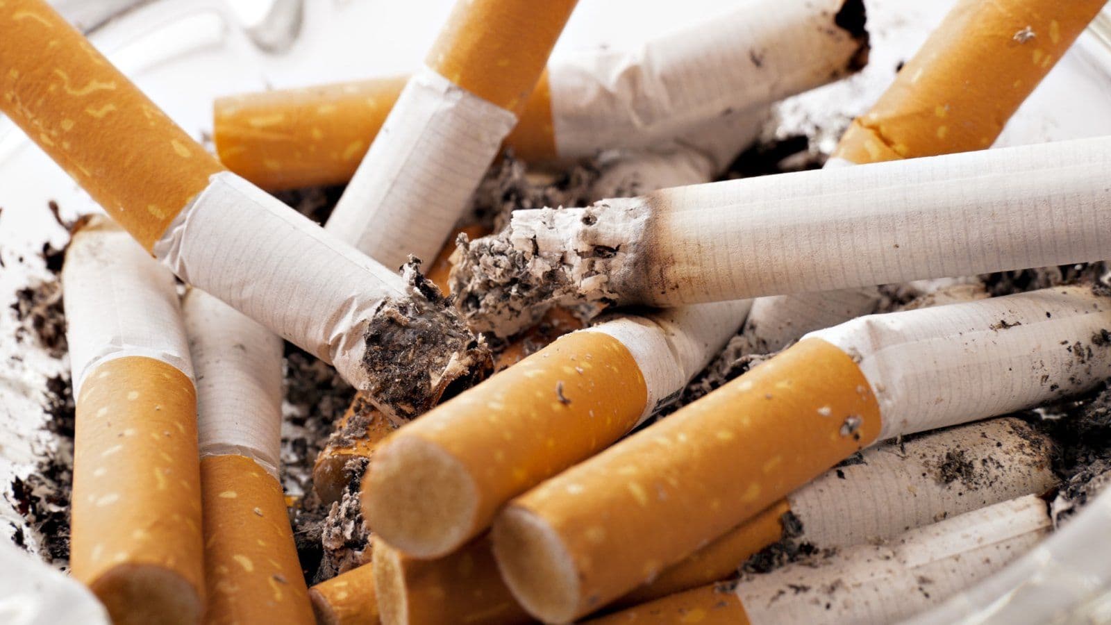 Megots de cigarettes ecrases dans un cendrier