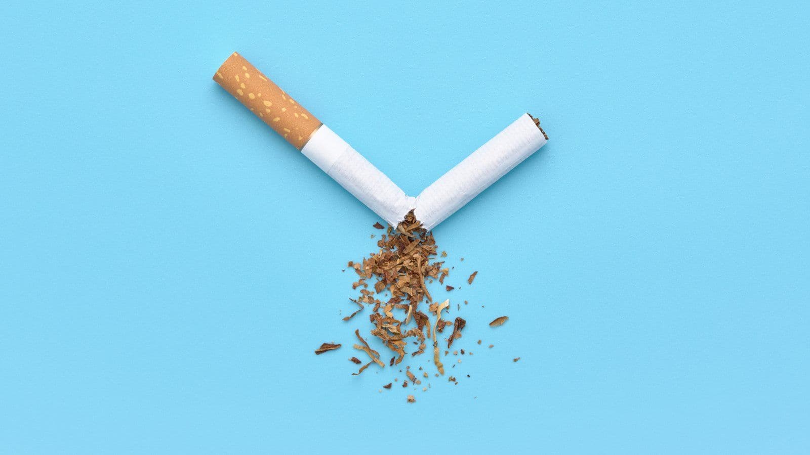 Cigarette brisee en deux laissant echapper son tabac