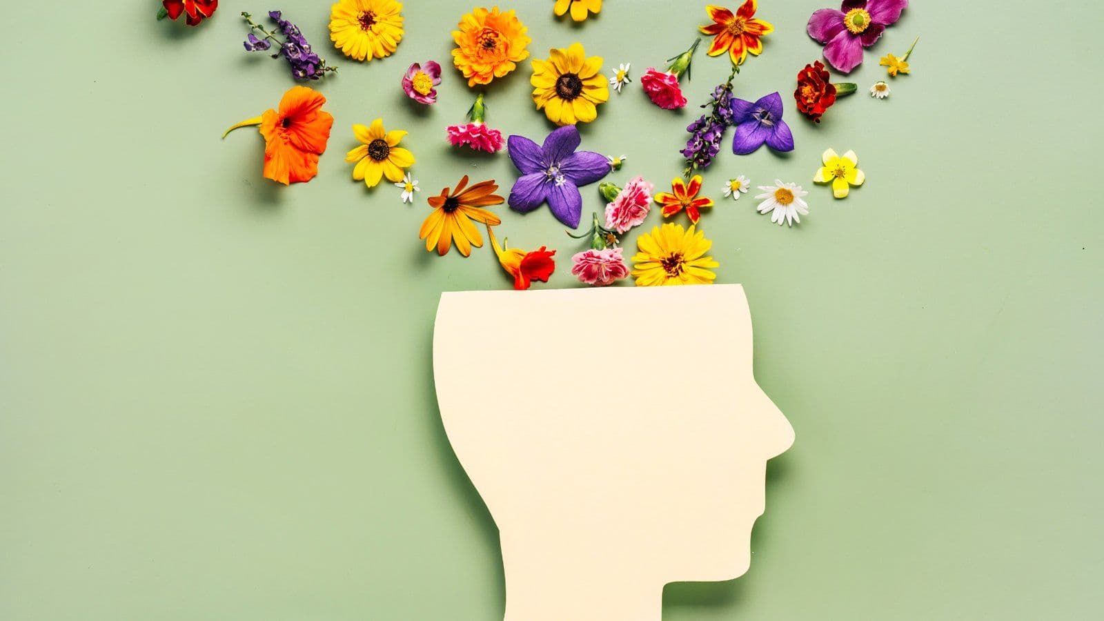 Silhouette de tete en papier d ou s echappent des fleurs colorees